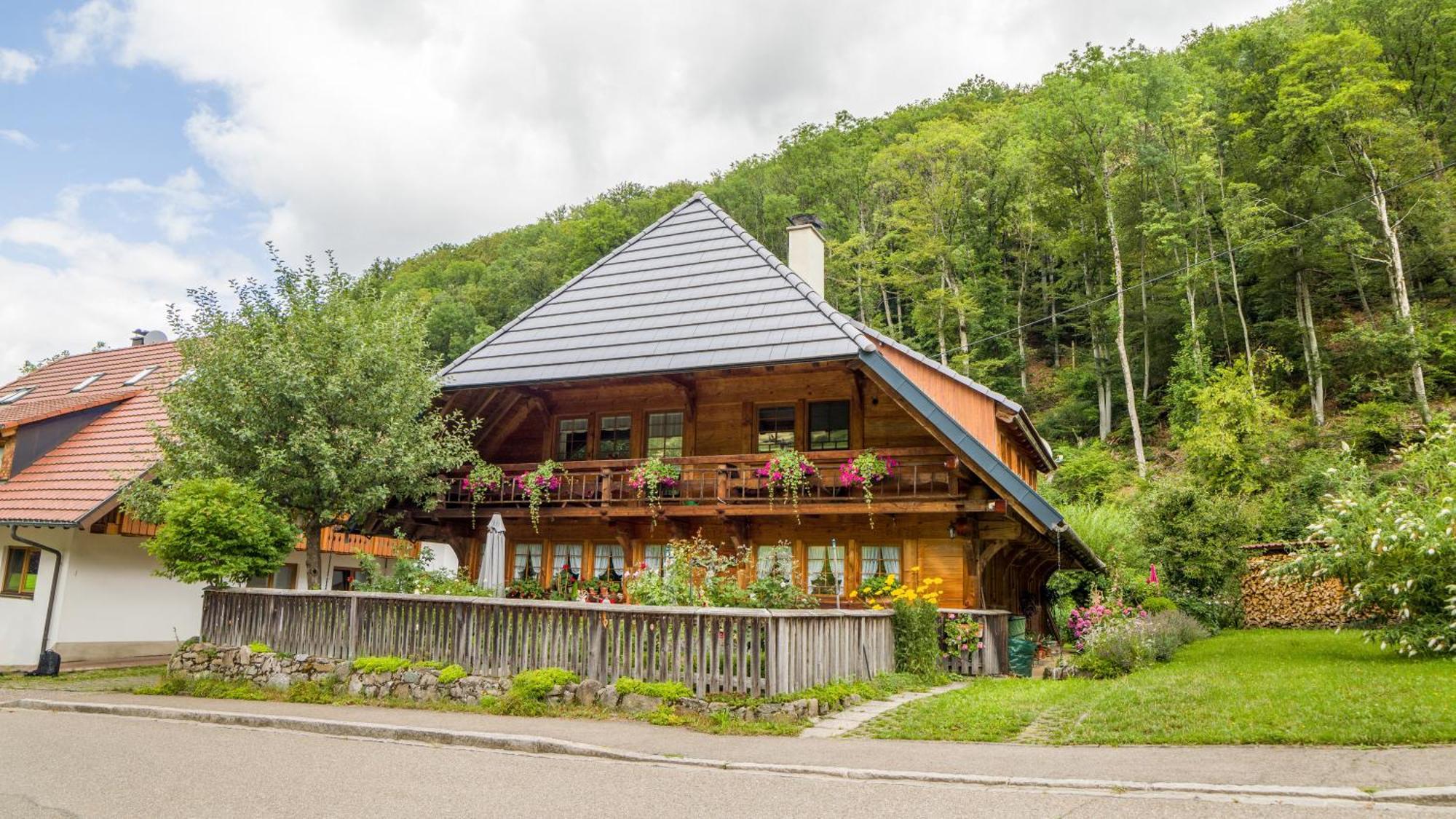 Haus Miriam Apartment Muenstertal Exterior photo