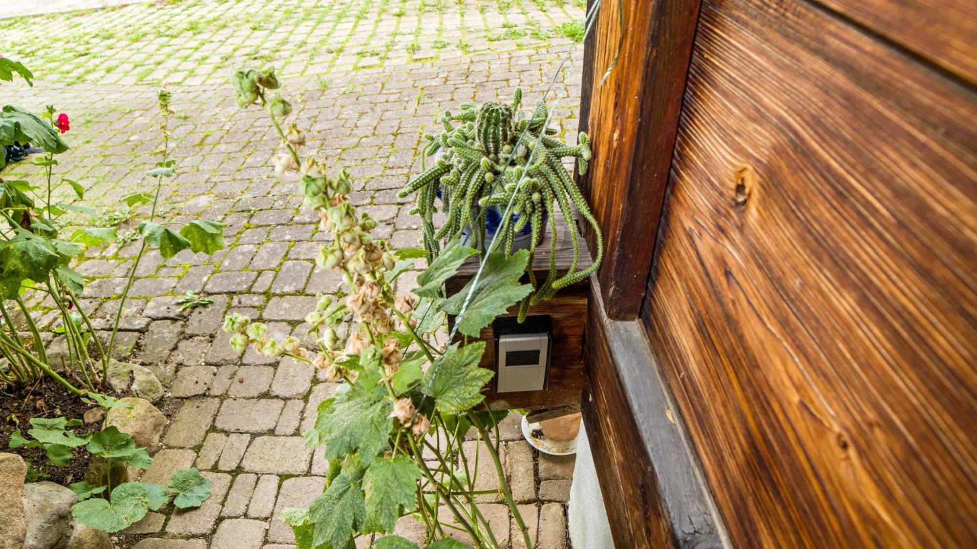 Haus Miriam Apartment Muenstertal Exterior photo